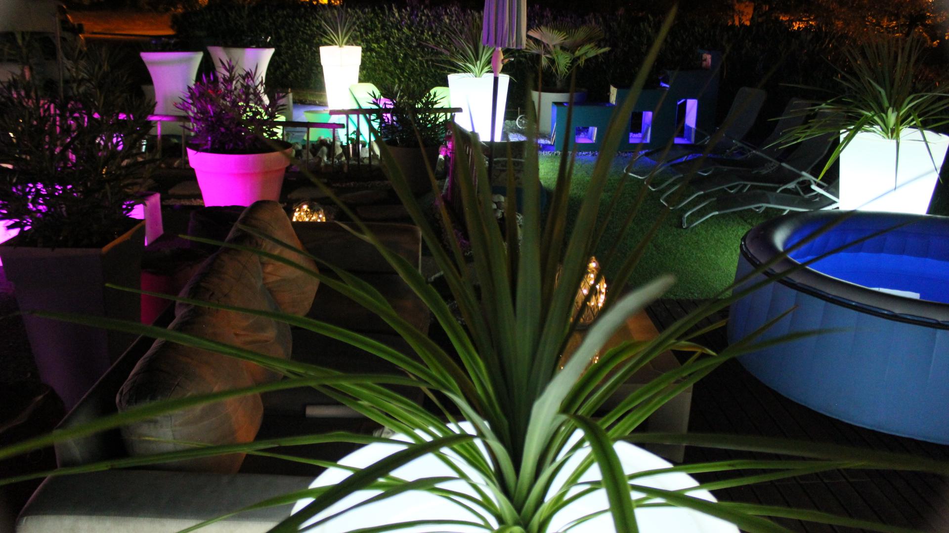 PLANTES NATURELLES