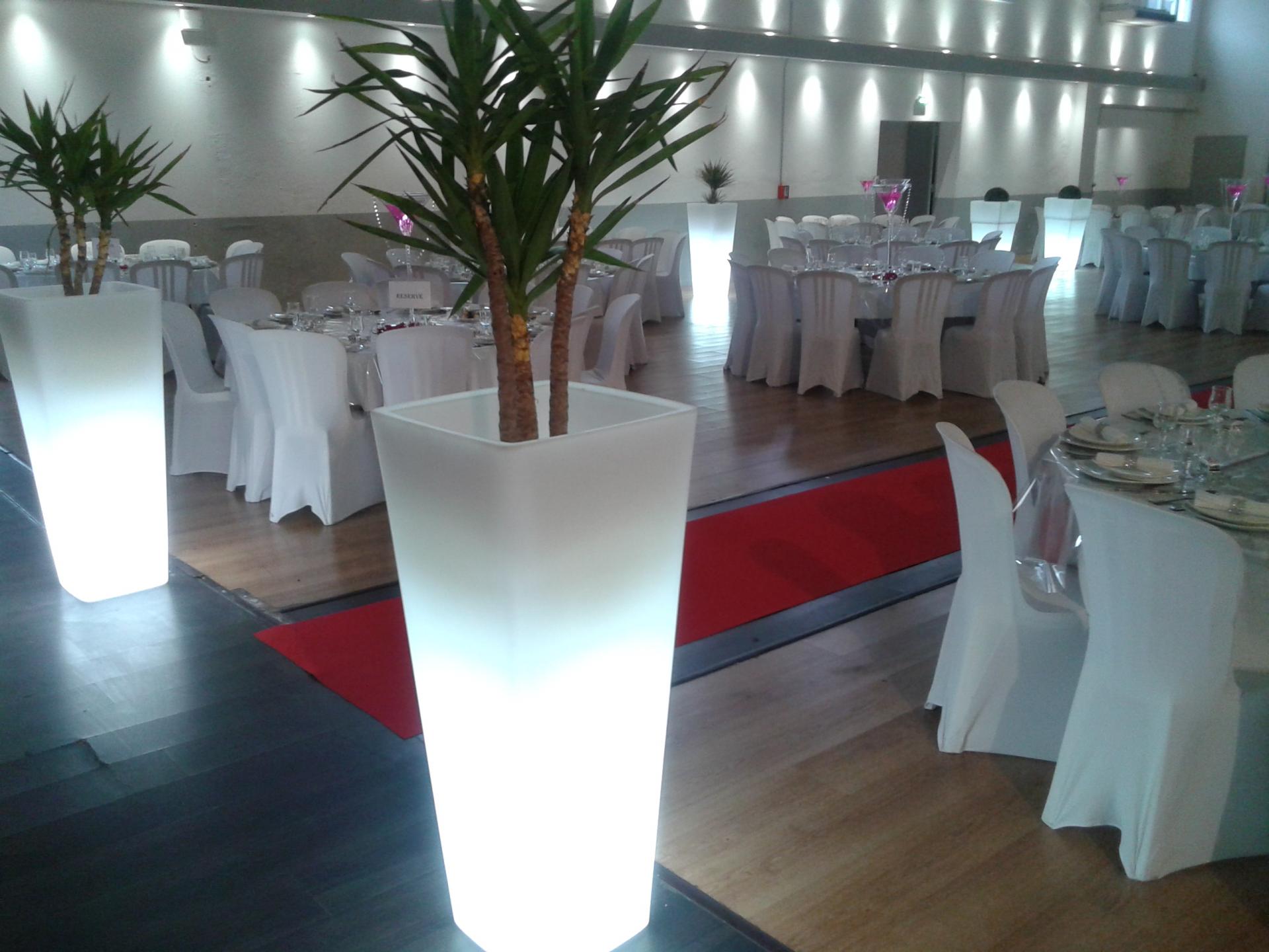 Déco lumineuse de salle